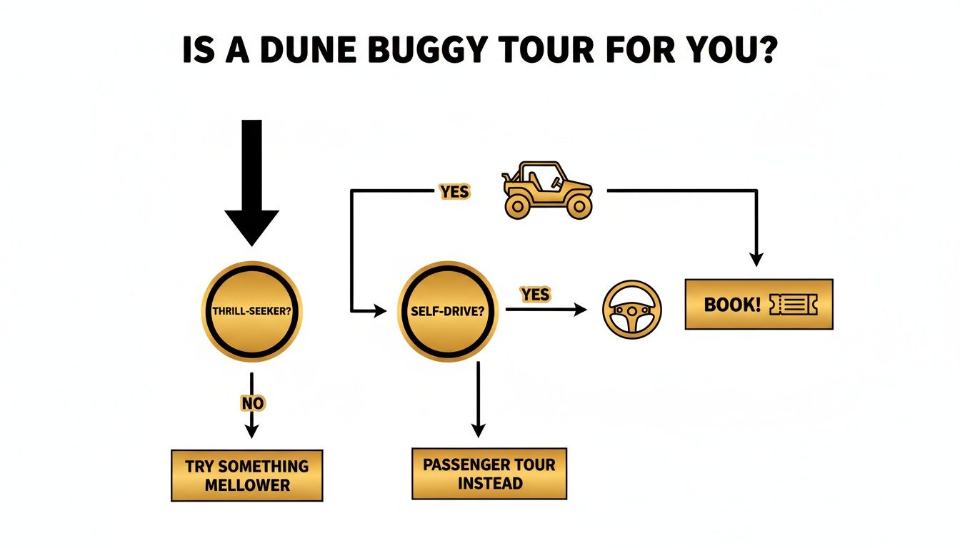 A flowchart guides users on whether a dune buggy tour is suitable, based on thrill-seeking and self-driving preferences.