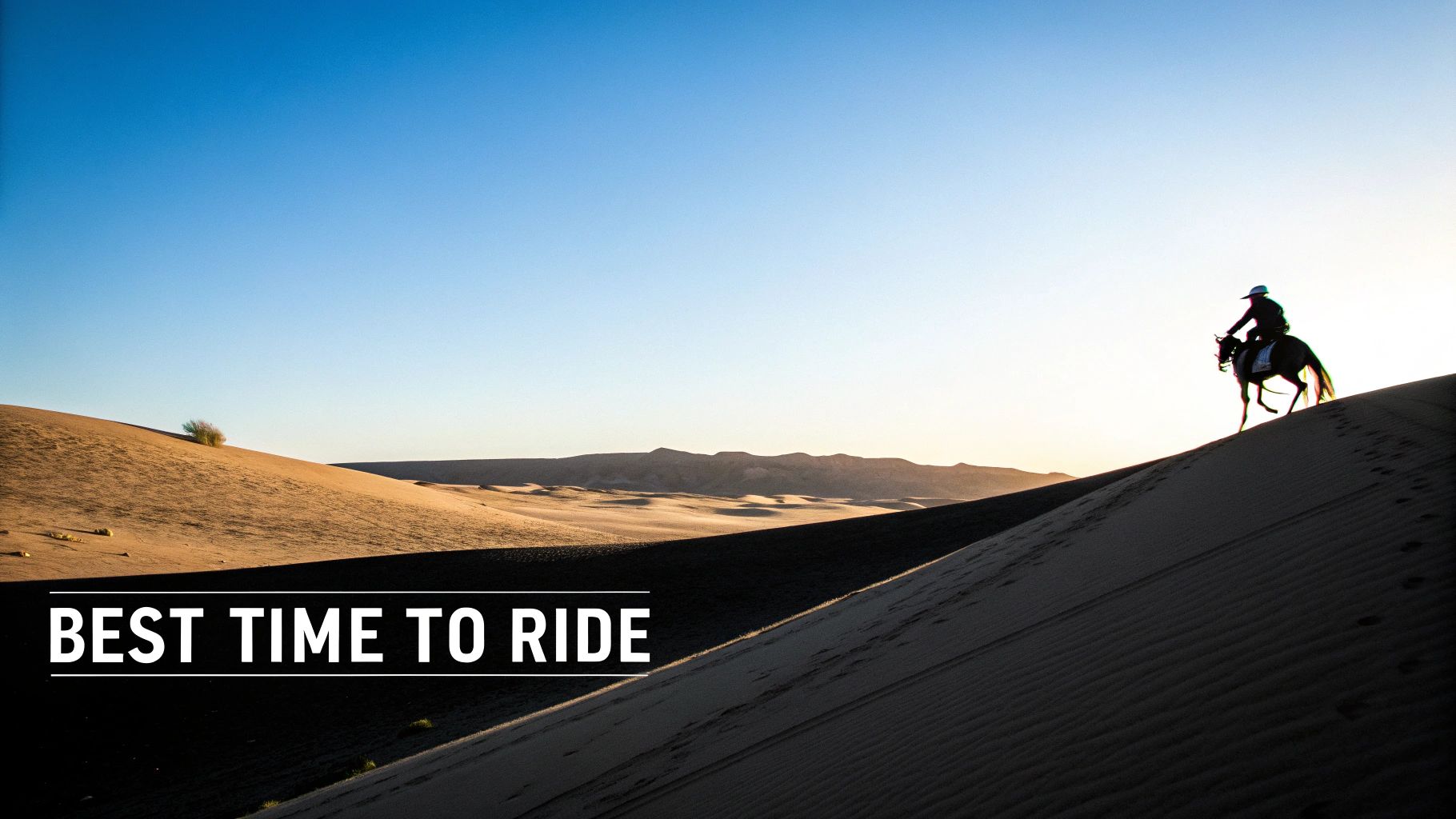 Silhouette of a rider on a horse ascending a vast sand dune against a bright desert sky.