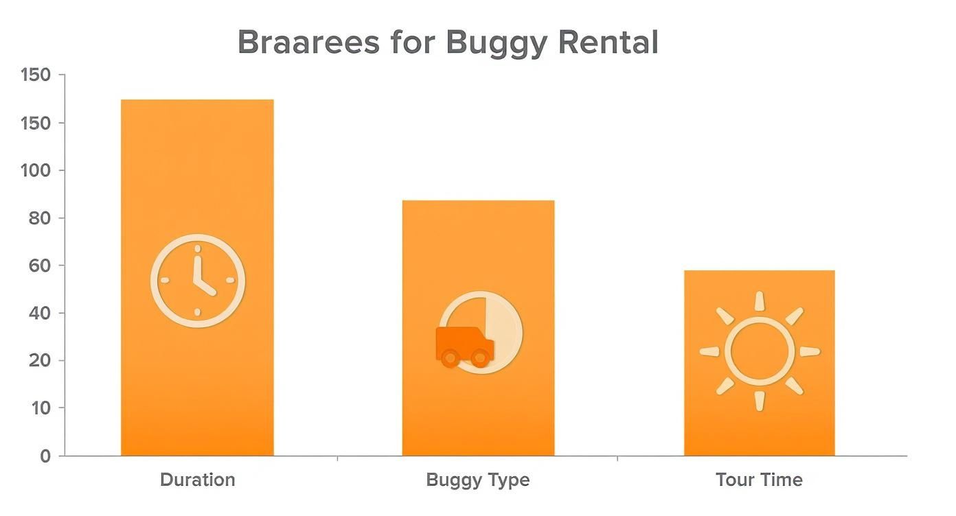 Bar chart illustrating Braarees for Buggy Rental, showing Duration as highest, followed by Buggy Type and Tour Time.