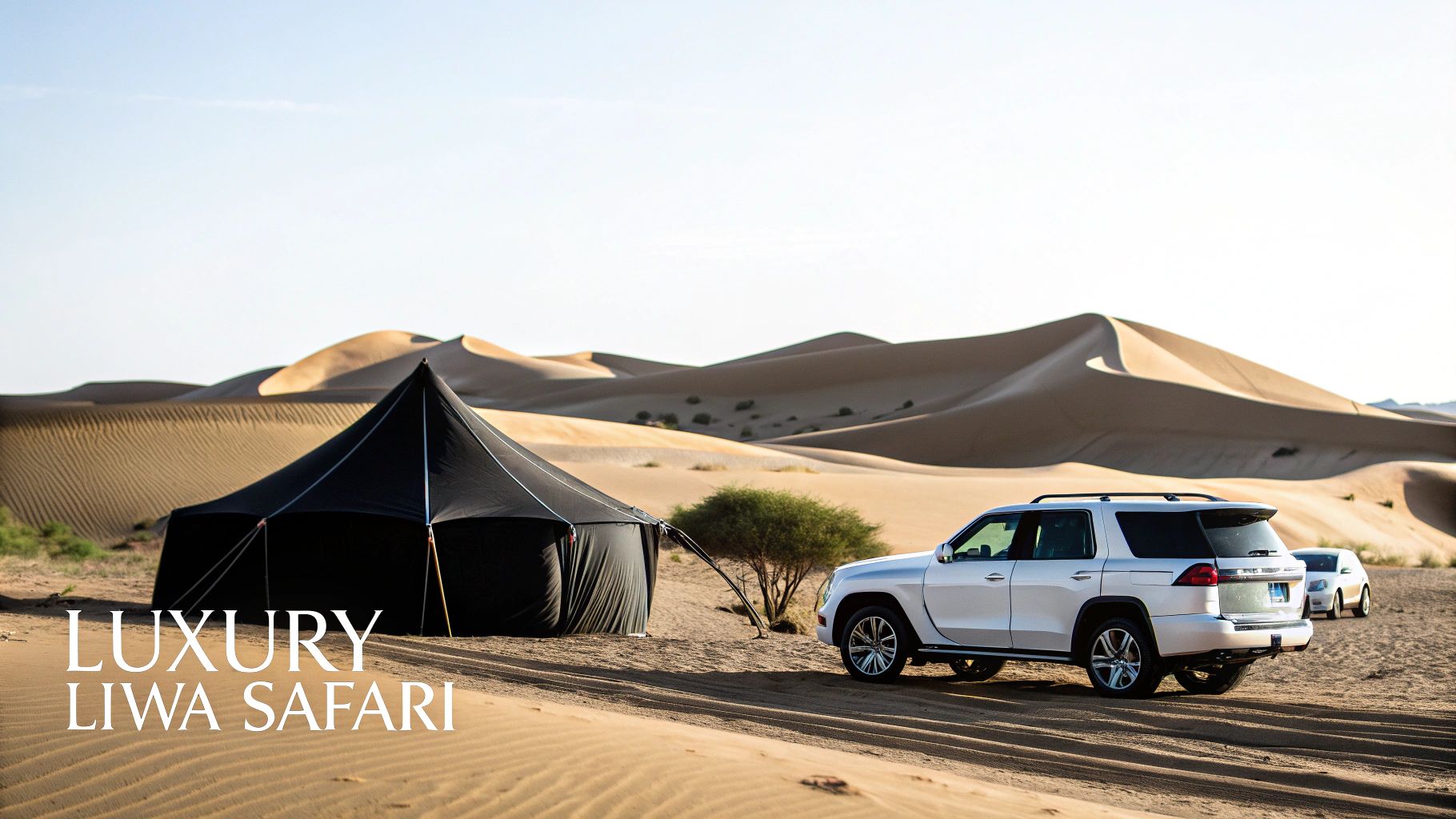 Luxury Liwa Safari scene with a black tent and white SUVs amidst golden desert dunes.