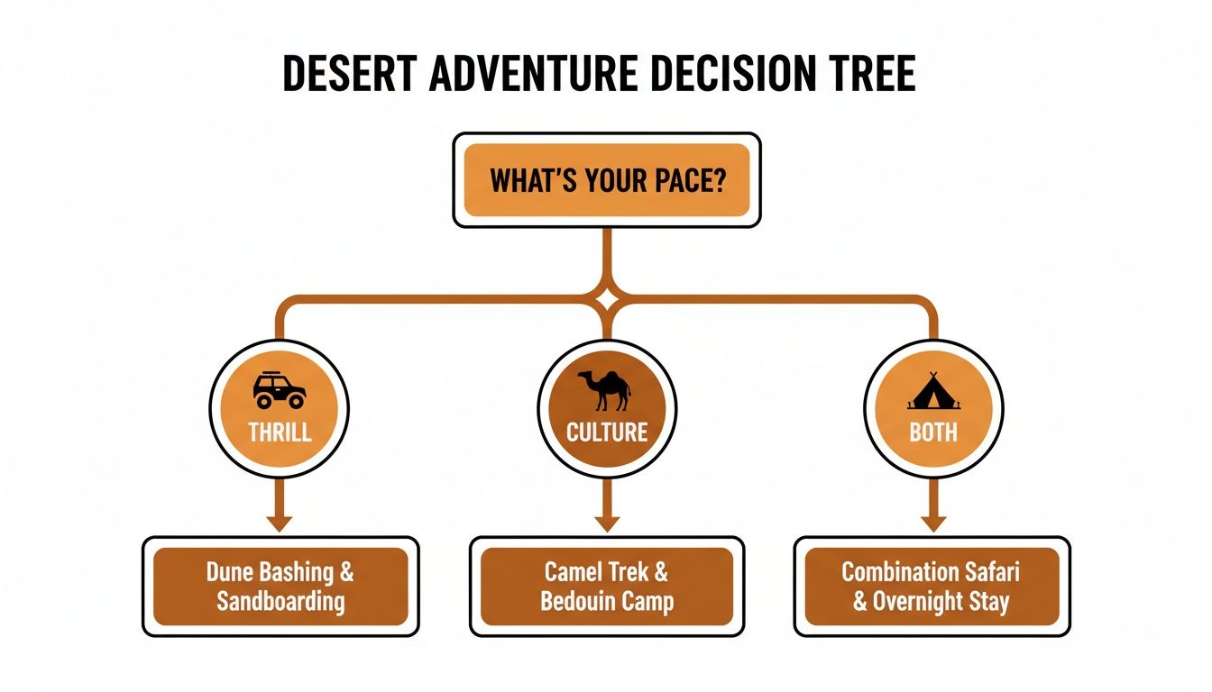 A desert adventure decision tree for thrill, culture, or combination experiences, guiding choices based on pace.
