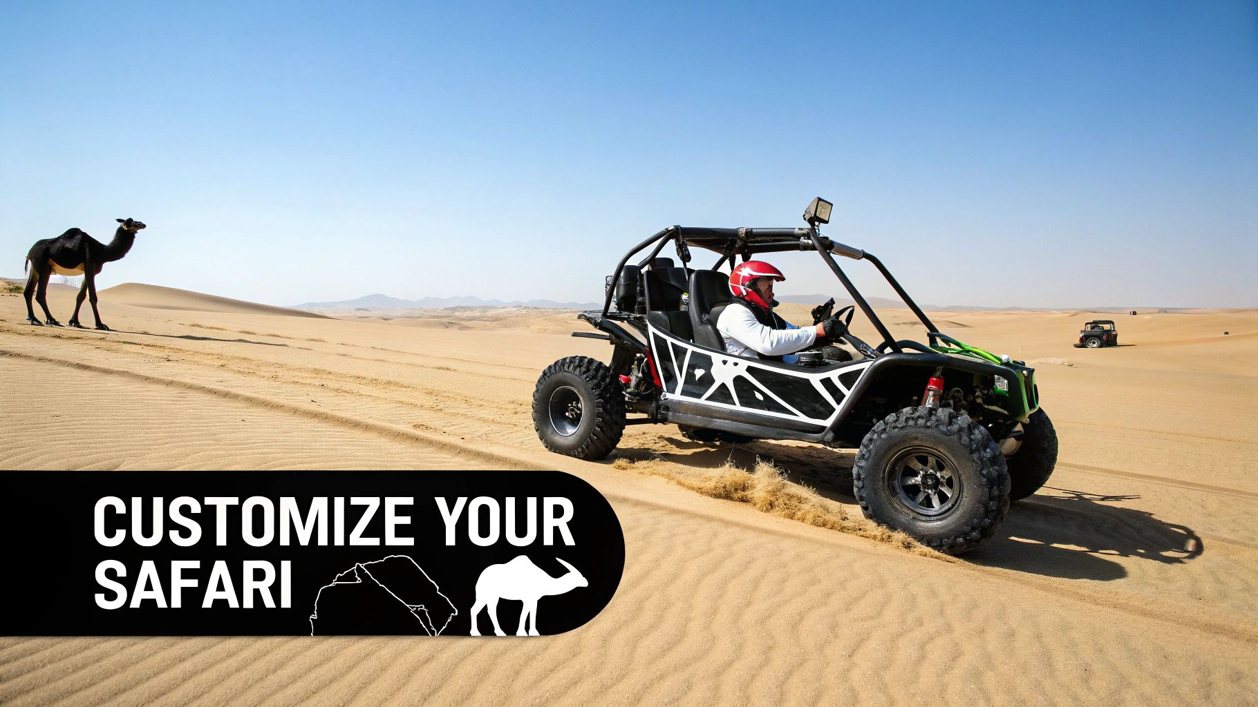 A person in a red helmet drives a black dune buggy across sandy desert dunes, with a camel standing nearby.