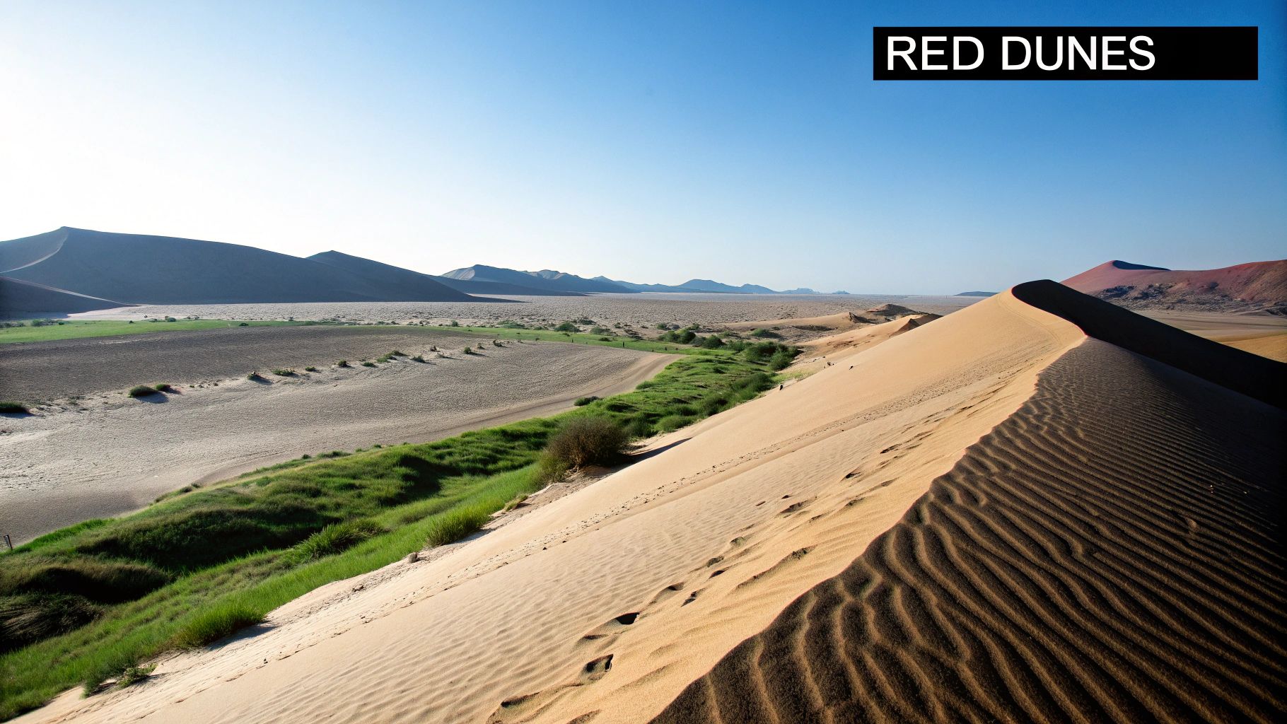 Panoramic view of a desert landscape with towering sand dunes, a green valley, and a clear blue sky.