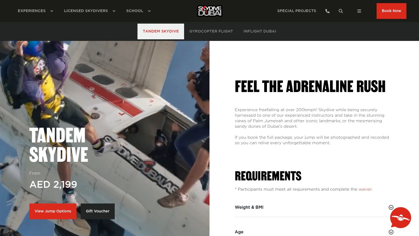 A tandem skydiver getting ready for a jump with the Skydive Dubai logo visible.