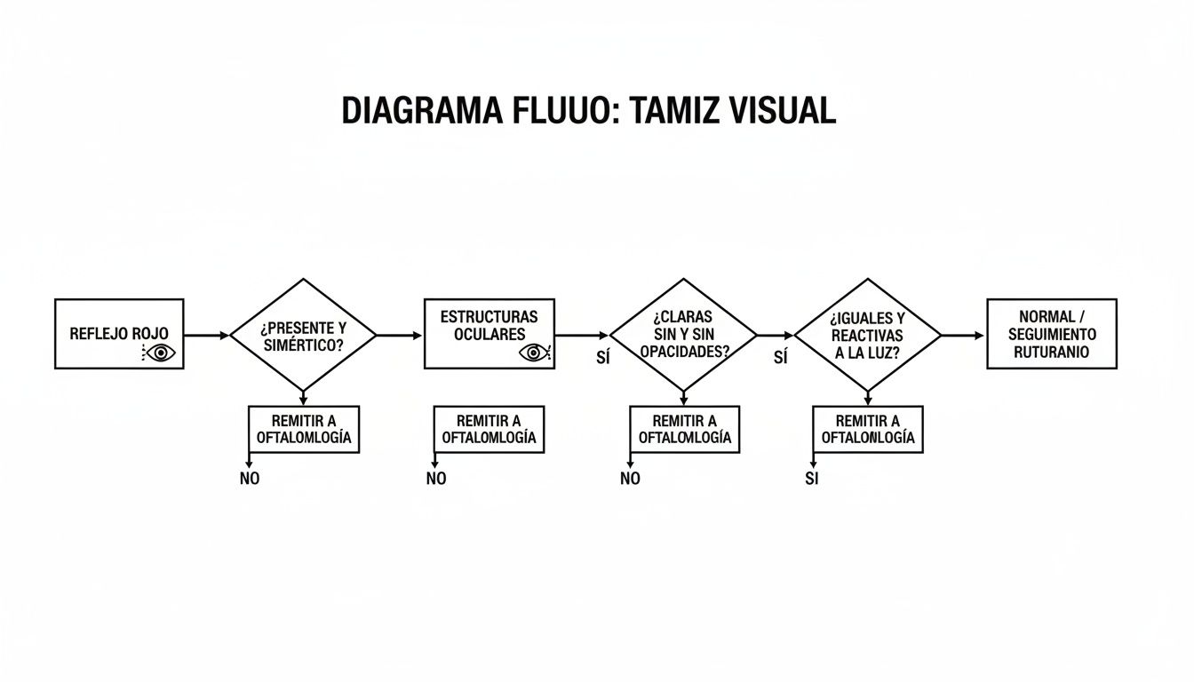 Diagrama de flujo para el tamiz visual, evaluando reflejo rojo, estructuras y reacciones oculares.