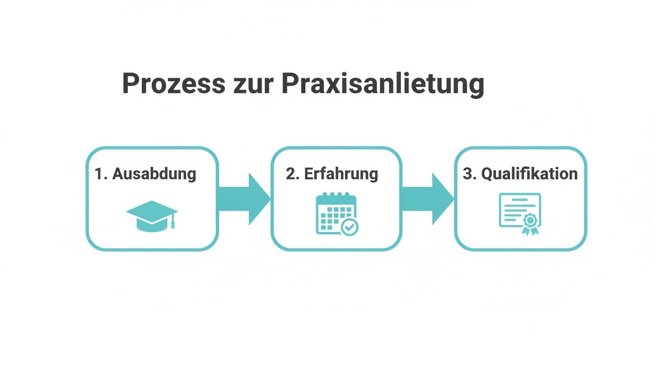 Visualisierung des Prozesses zur Praxisanleitung: Ausbildung, Erfahrung und Qualifikation sind die drei Schritte.