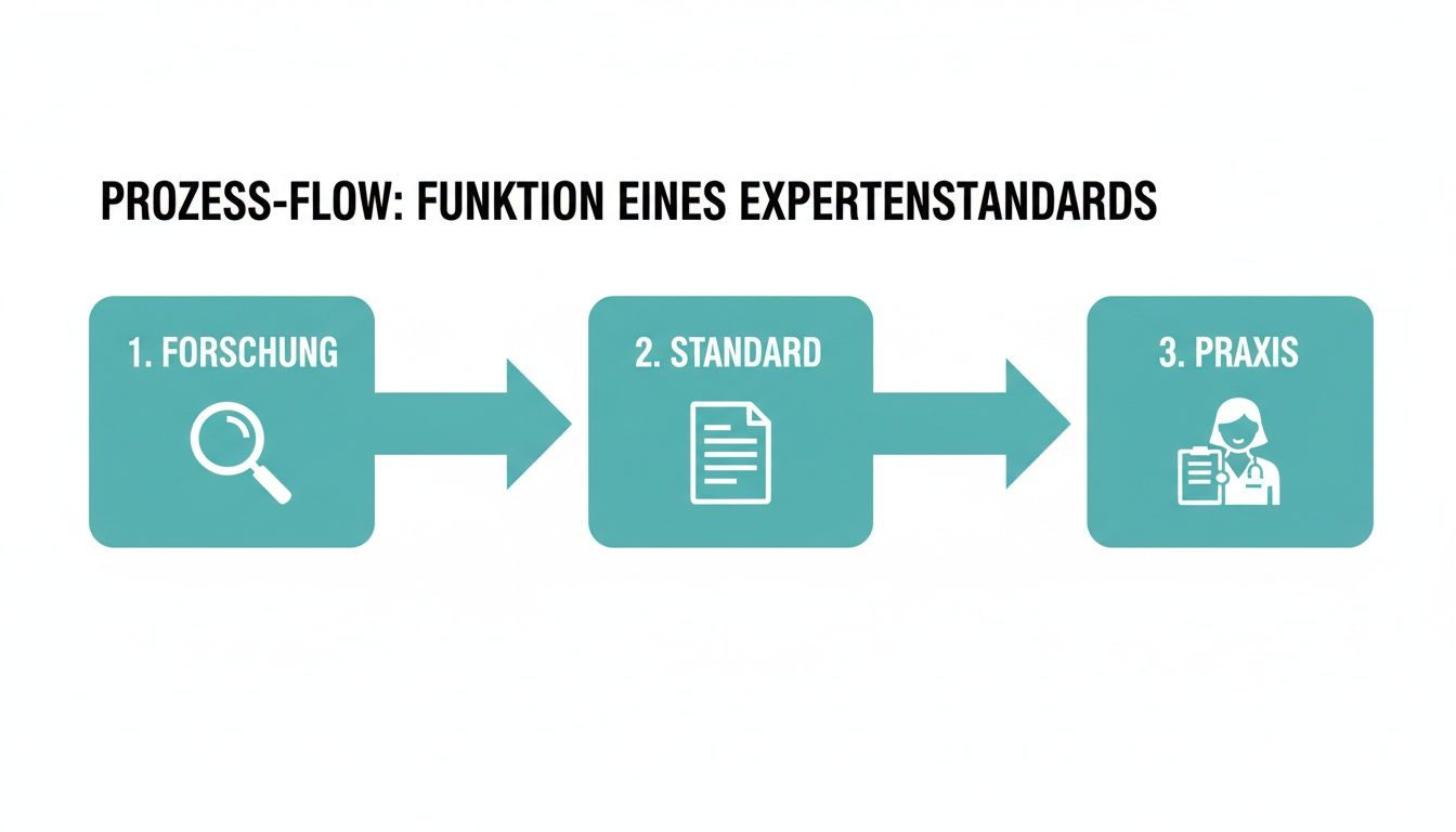Visualisierung des Prozessablaufs von Forschung über Standardentwicklung bis zur Anwendung in der Praxis für Expertenstandards.