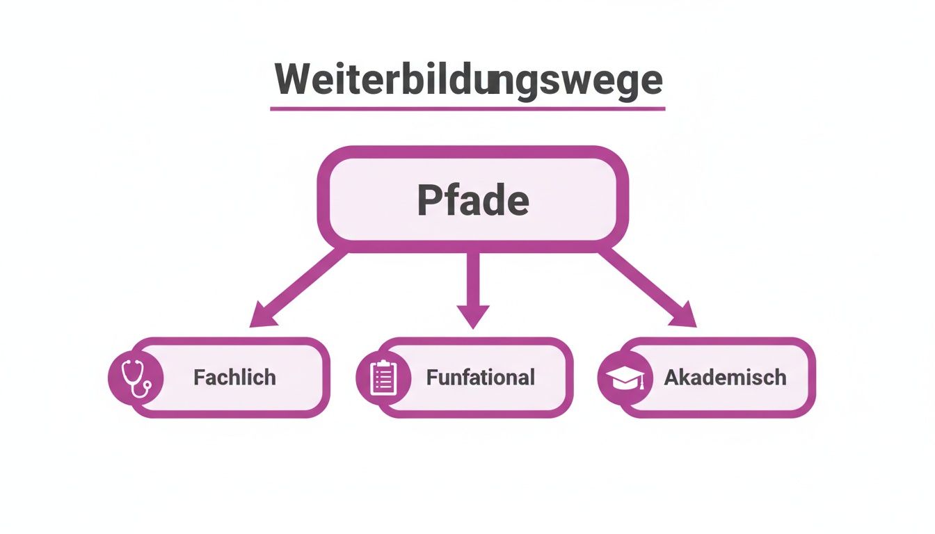 Das Diagramm „Weiterbildungswege“ zeigt drei Pfade: Fachlich, Funfational und Akademisch mit entsprechenden Symbolen.