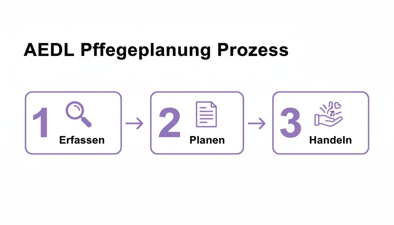 AEDL Pflegeplanung Prozess: Drei Schritte Erfassen (Lupe), Planen (Dokument) und Handeln (Herz in Hand).