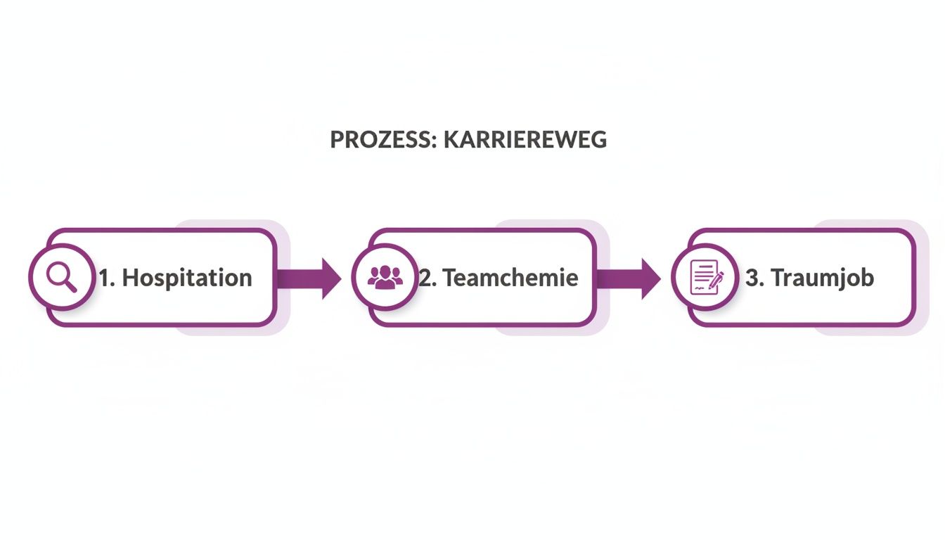 Infografik zum Karriereweg in drei Schritten: Hospitation, Teamchemie und Traumjobfindung, dargestellt mit Piktogrammen und Pfeilen.