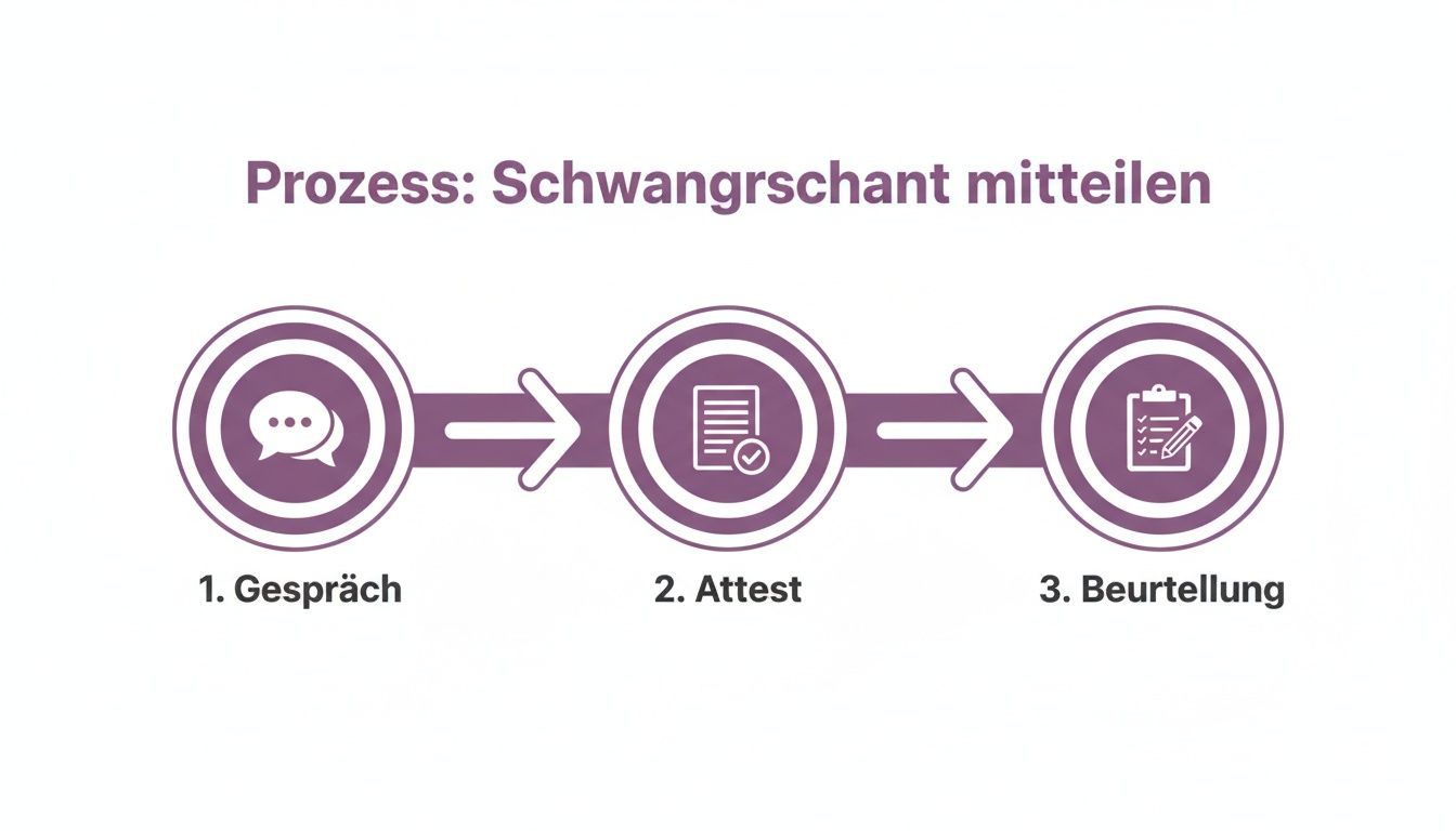 Eine Prozessgrafik zeigt drei Schritte zur Mitteilung einer Schwangerschaft: Gespräch, Attest und Beurteilung.