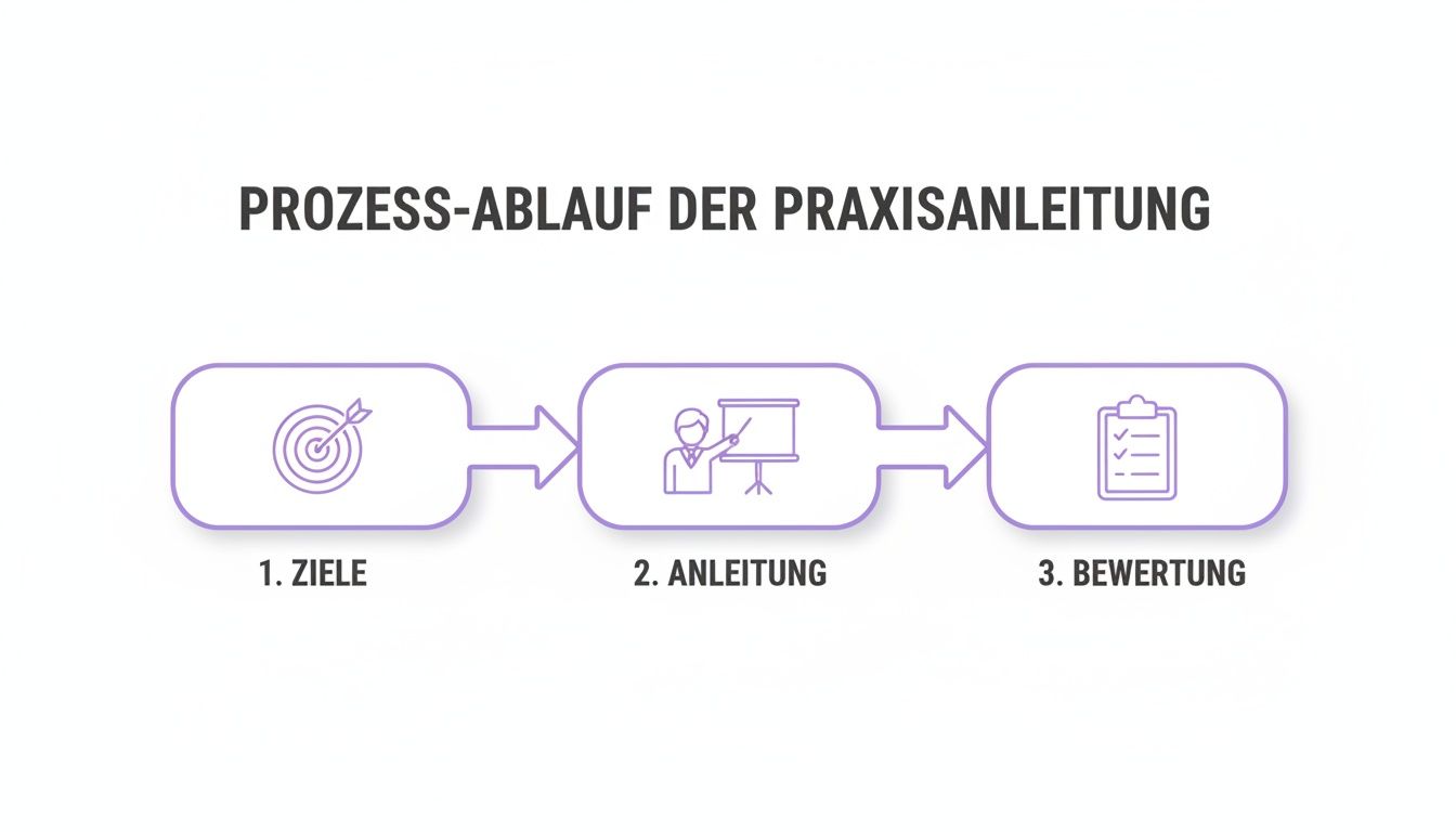 Ablauf der Praxisanleitung in drei Schritten: Ziele, Anleitung und Bewertung, dargestellt mit Symbolen.