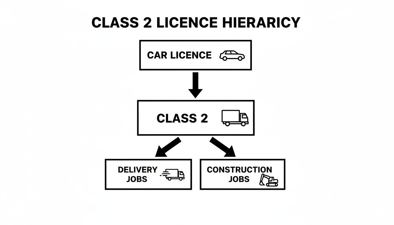 A hierarchy diagram showing Class 2 licence progression from car licence to delivery and construction jobs.