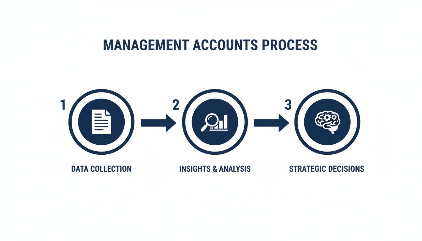 Infographic illustrating the three-step management accounts process: data collection, insights and analysis, and strategic decisions.