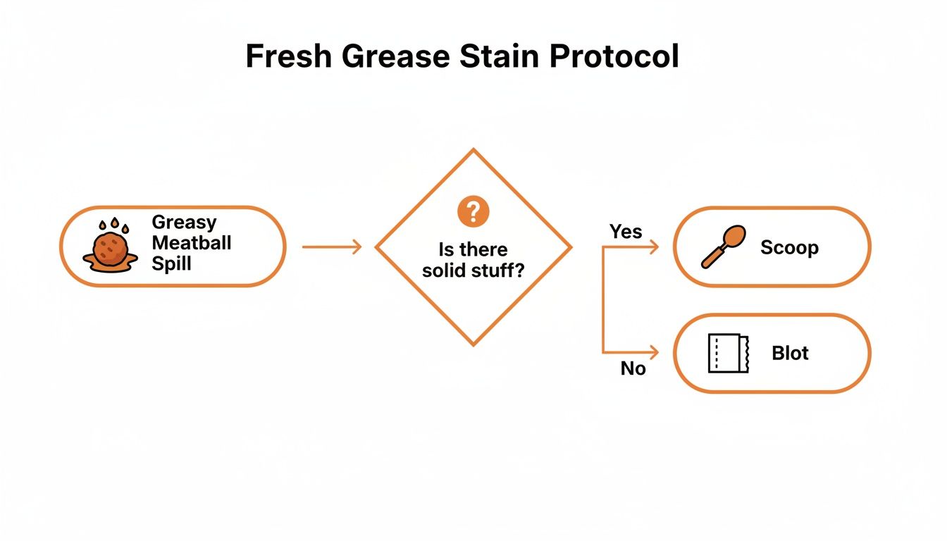 Flowchart outlining the fresh grease stain protocol: scoop if solid stuff, otherwise blot.