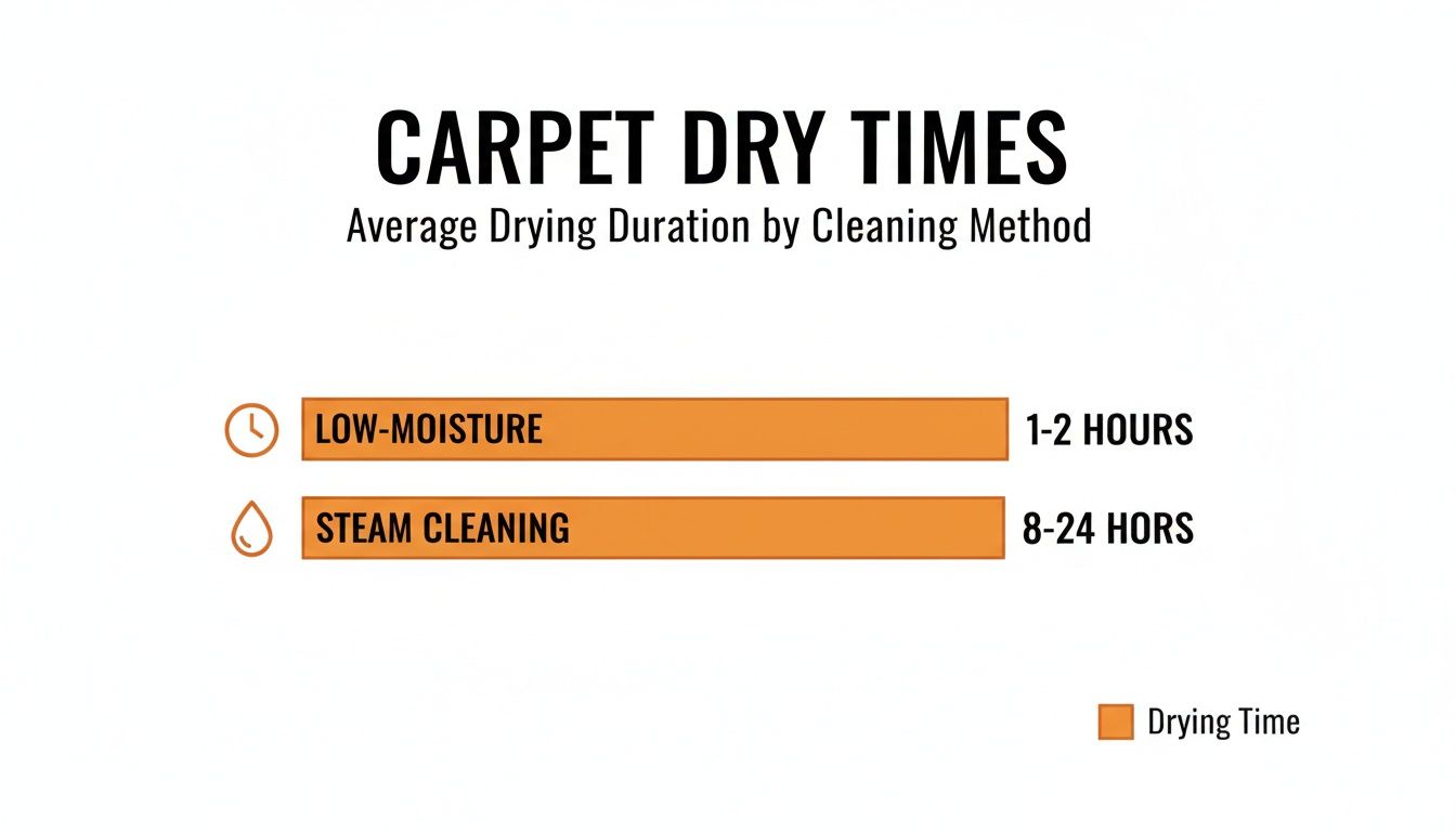 Infographic comparing carpet drying times: low-moisture (1-2 hours) versus steam cleaning (8-24 hours).