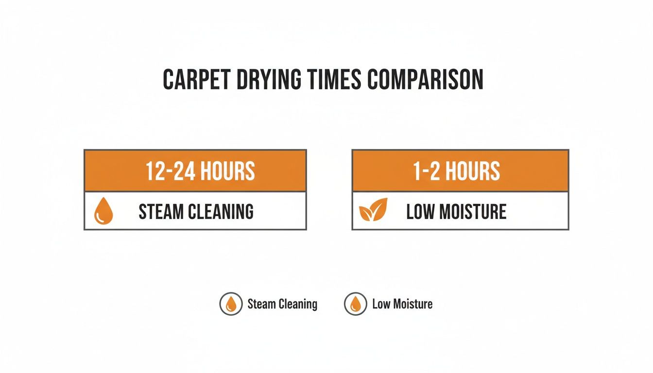 Infographic comparing carpet drying times for steam cleaning (12-24 hours) versus low moisture (1-2 hours).