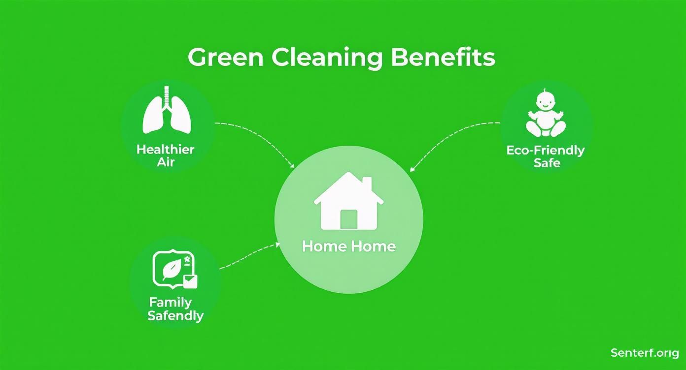 Infographic about green carpet cleaning near me