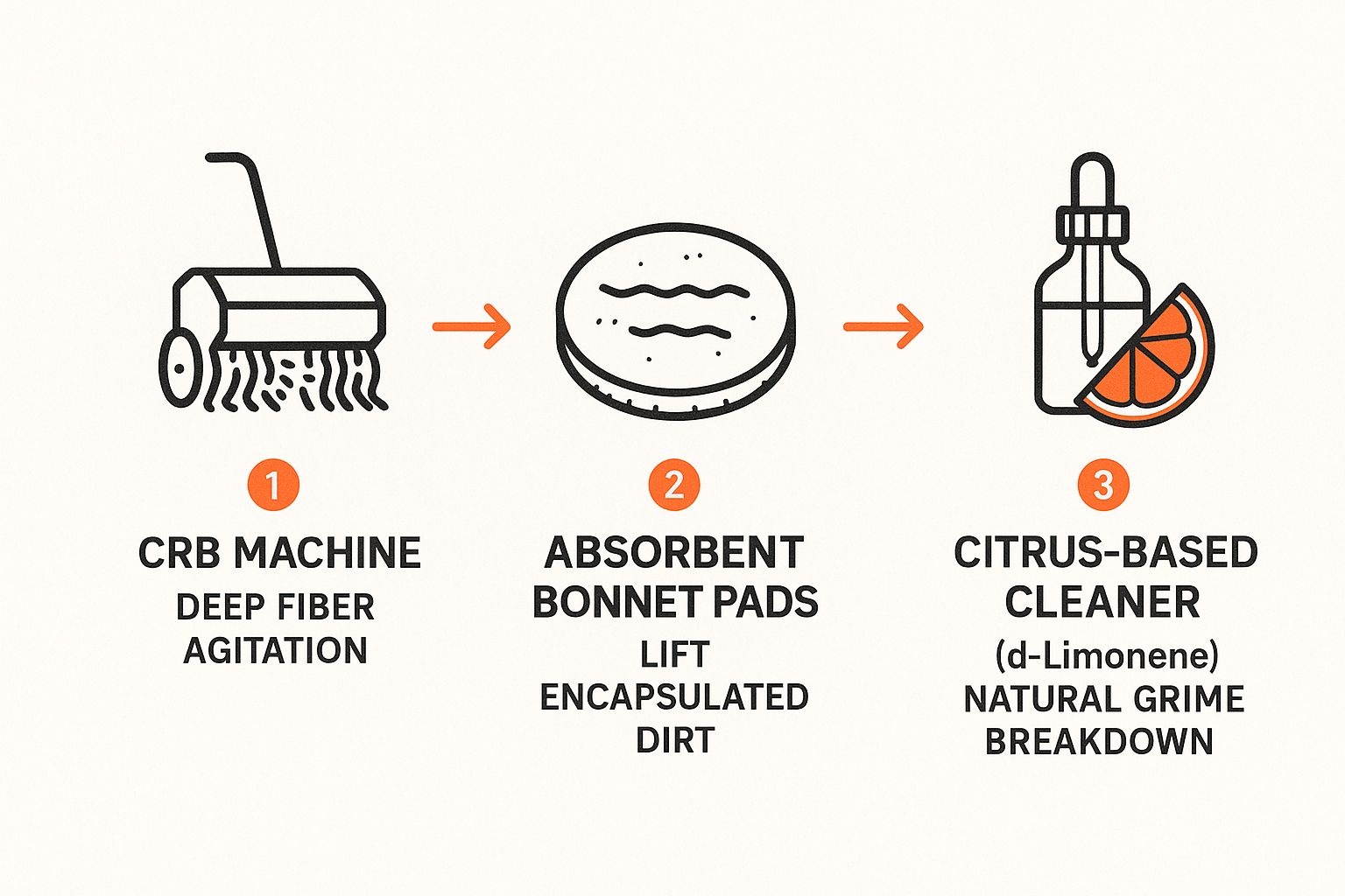 Infographic about deep carpet cleaning