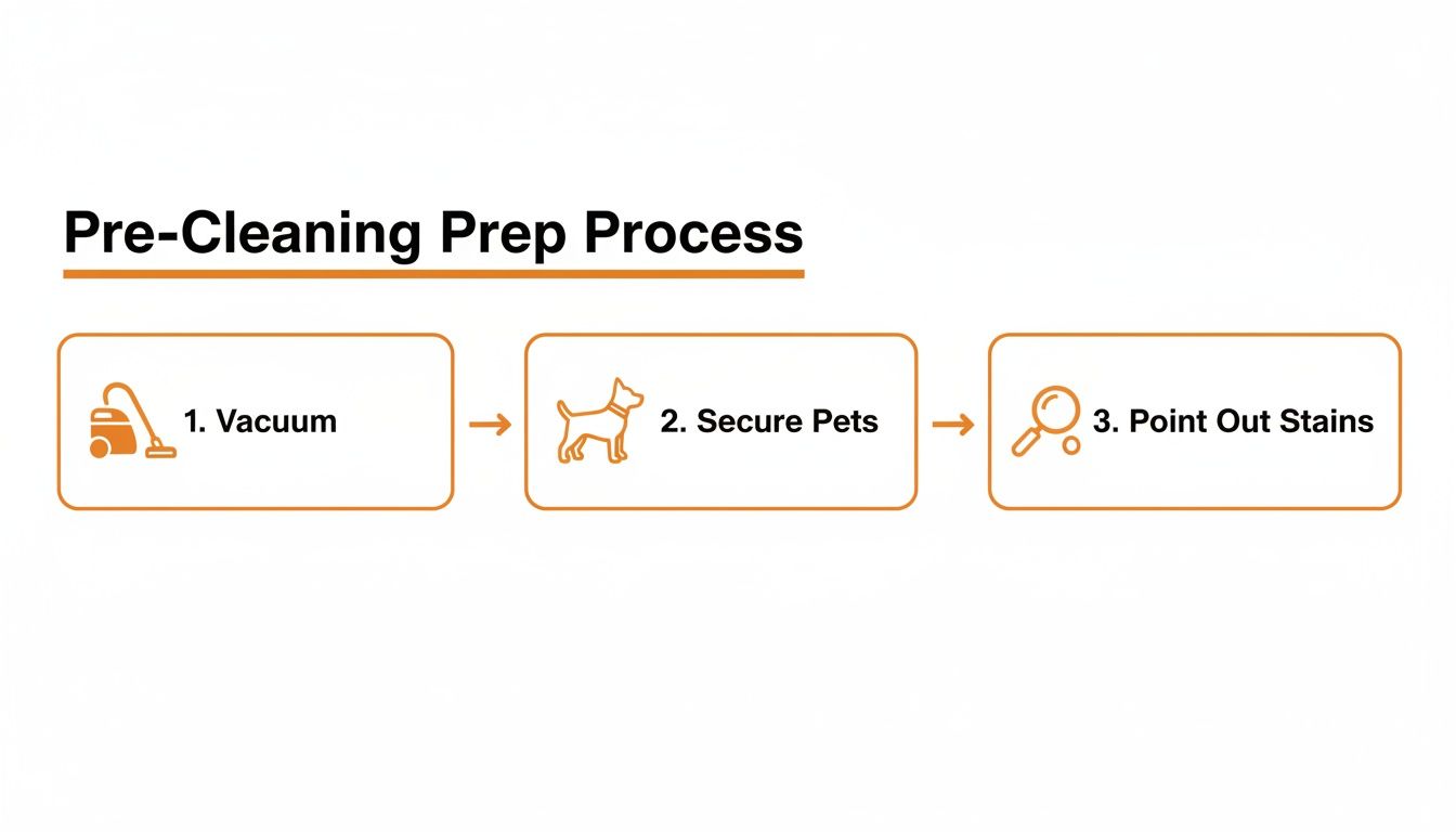 Flowchart outlining three essential pre-cleaning steps: vacuum, secure pets, and point out stains.