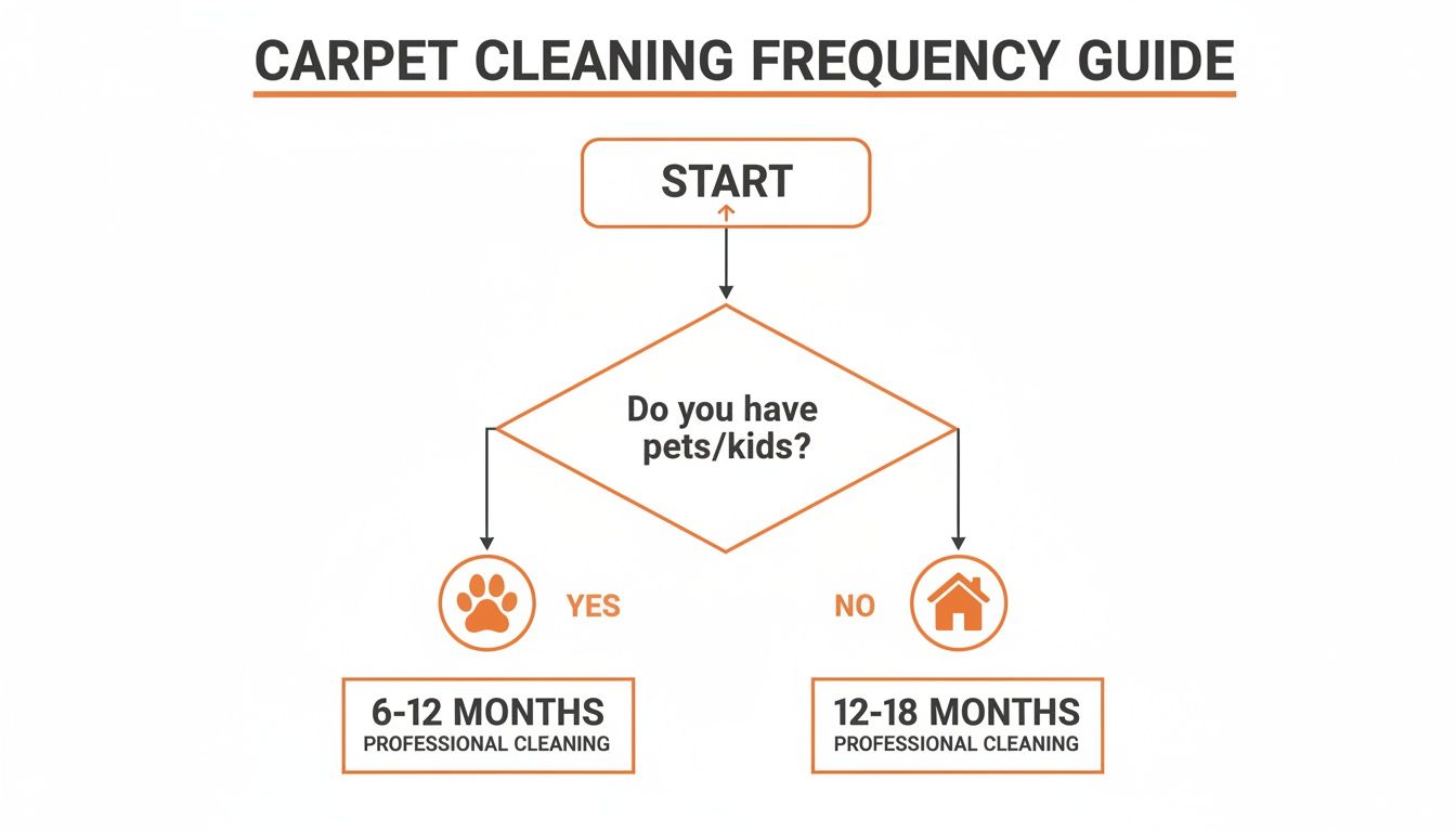 A flowchart guide on carpet cleaning frequency, recommending professional cleaning based on pets or kids.