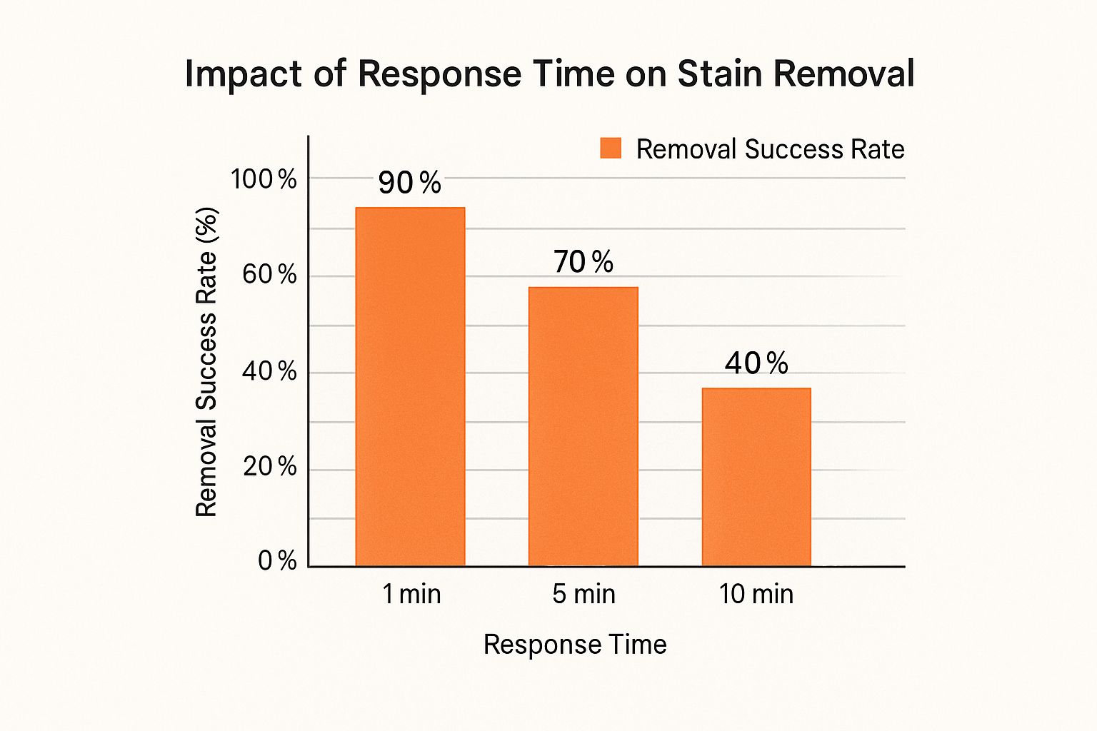 Infographic about best way to get spots out of carpet