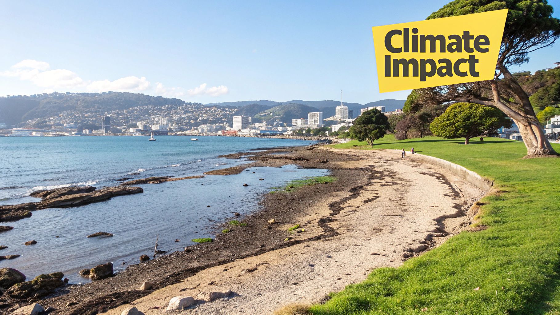 A well-maintained Wellington home with a clear view of the harbour.