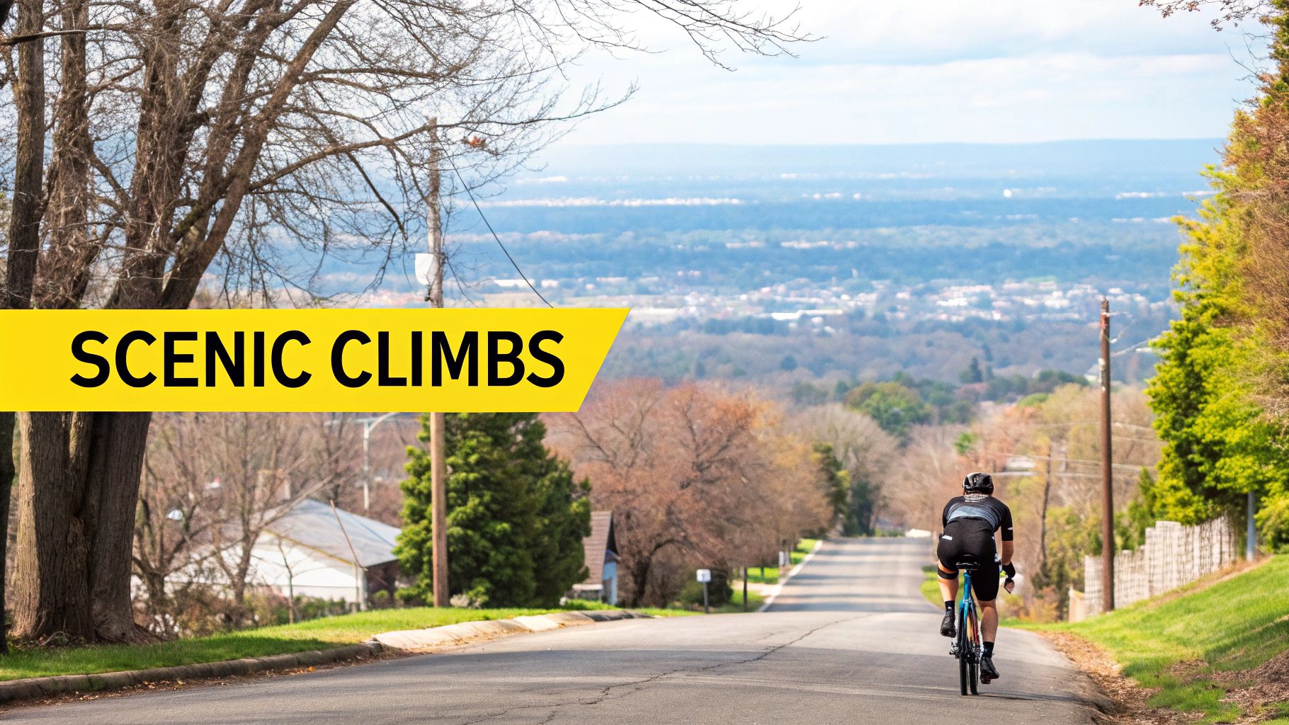 Mornington: The Scenic Route Specialist