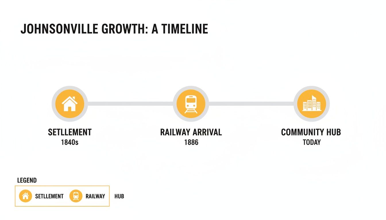 Infographic timeline of Johnsonville's historical growth, from 1840s settlement to today's community hub.