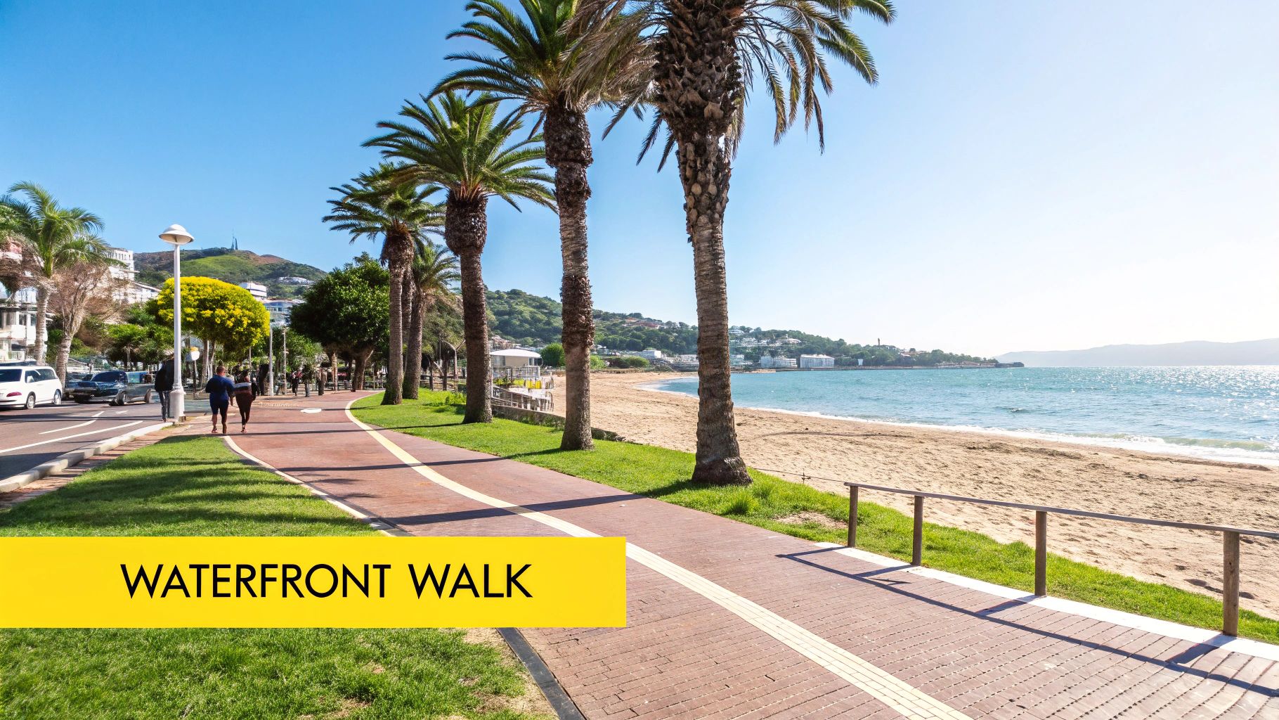 Oriental Bay
