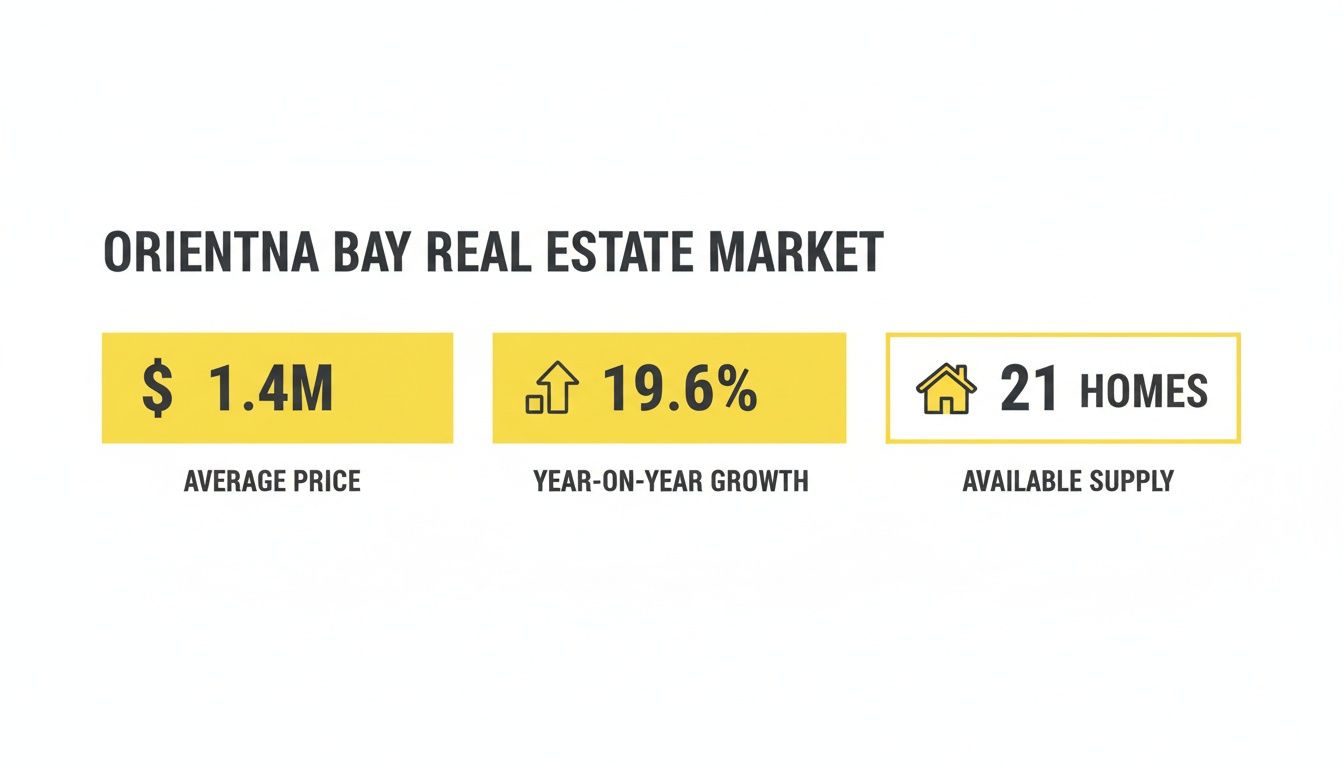Infographic showing Orientna Bay real estate market data: average price, growth, and available homes.