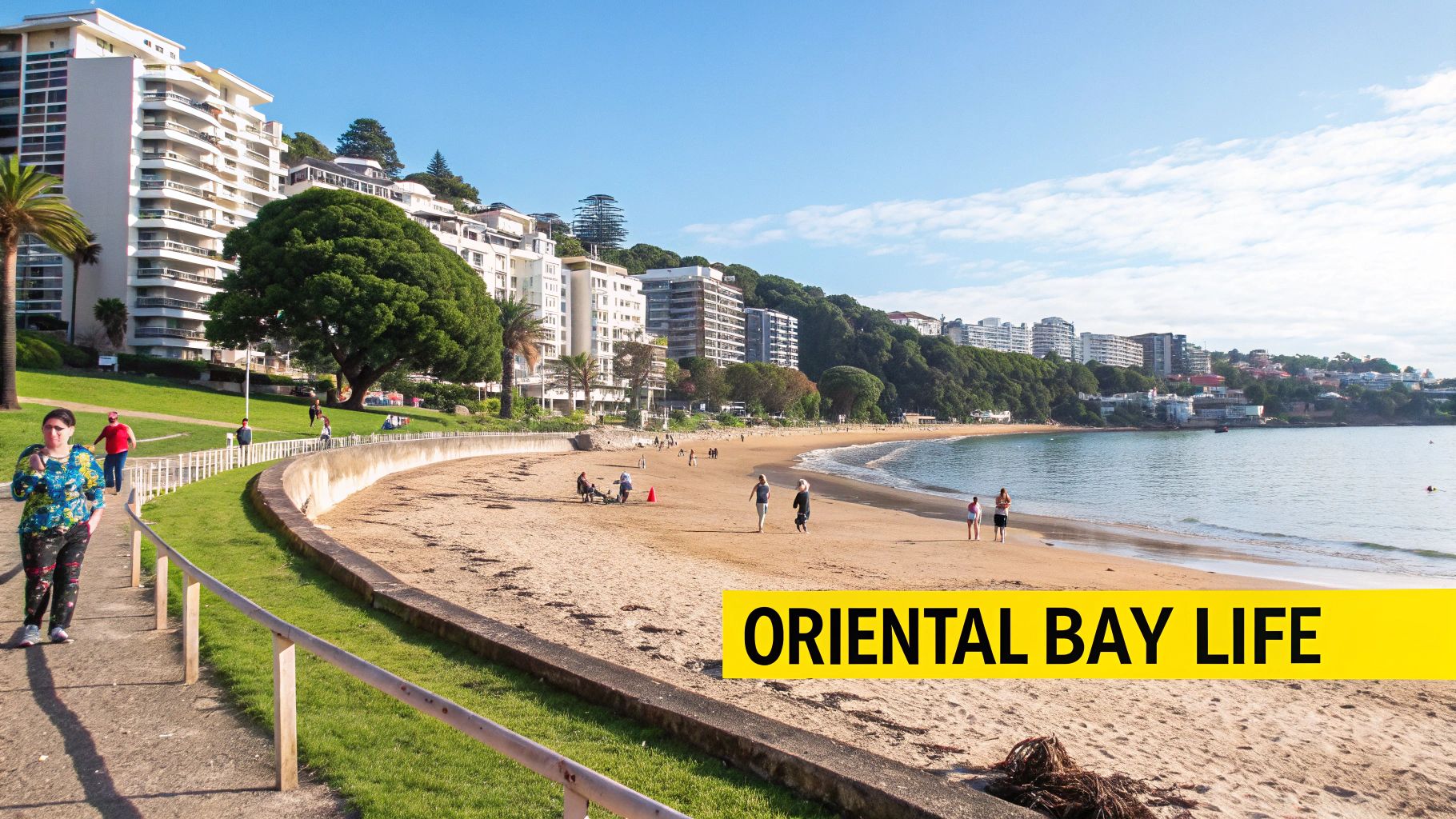 People enjoy a sunny day at Oriental Bay beach with buildings on the hillside.