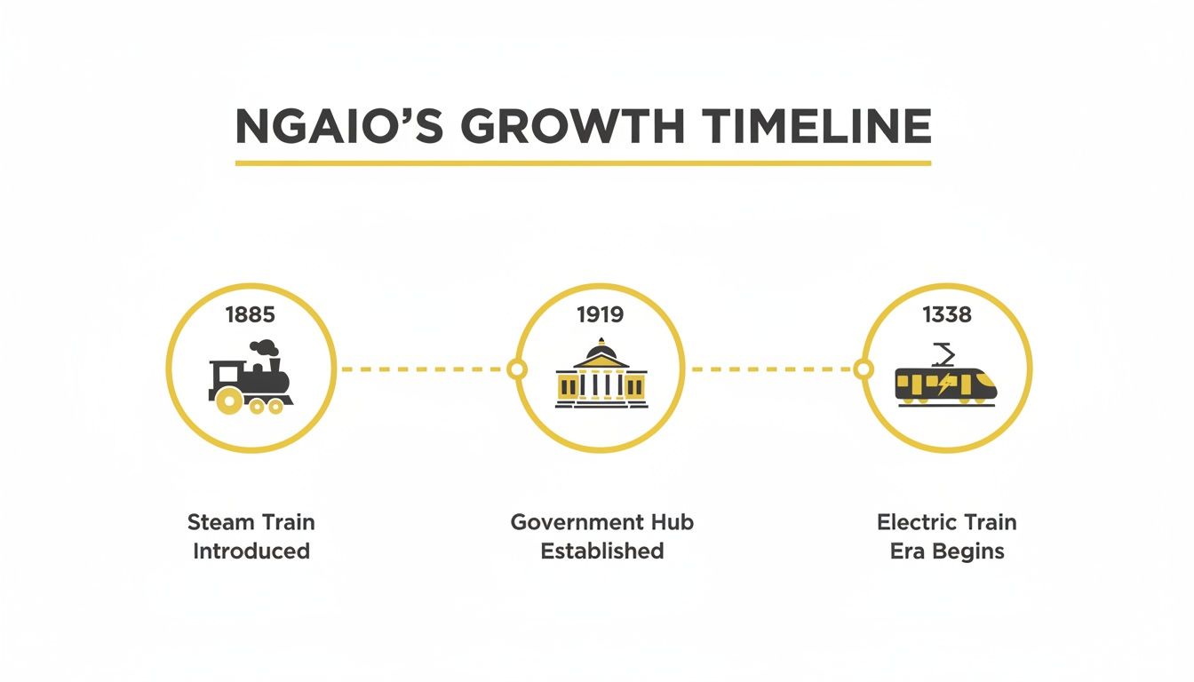 Timeline showing Ngaio's growth: steam train (1885), government hub (1919), and electric train (1338).