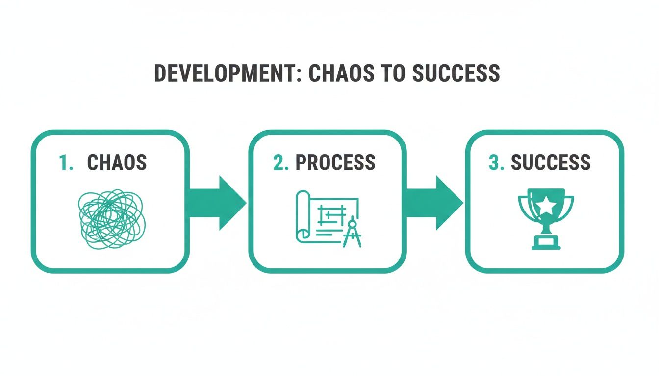 Infographic illustrating the journey of development from chaos, through process, to ultimate success.