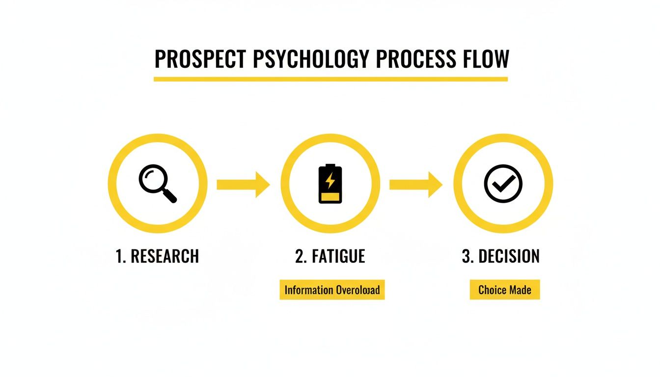 A process flow diagram illustrating prospect psychology, moving from research to fatigue from information overload, then to decision.