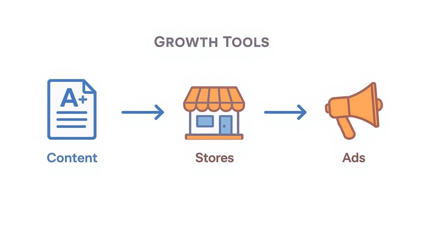 Growth tools diagram showing progression from content creation to stores to advertising with arrows