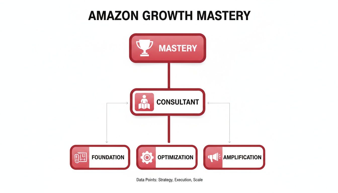 Flowchart illustrating Amazon Growth Mastery, focusing on Consultant role, Foundation, Optimization, and Amplification stages.
