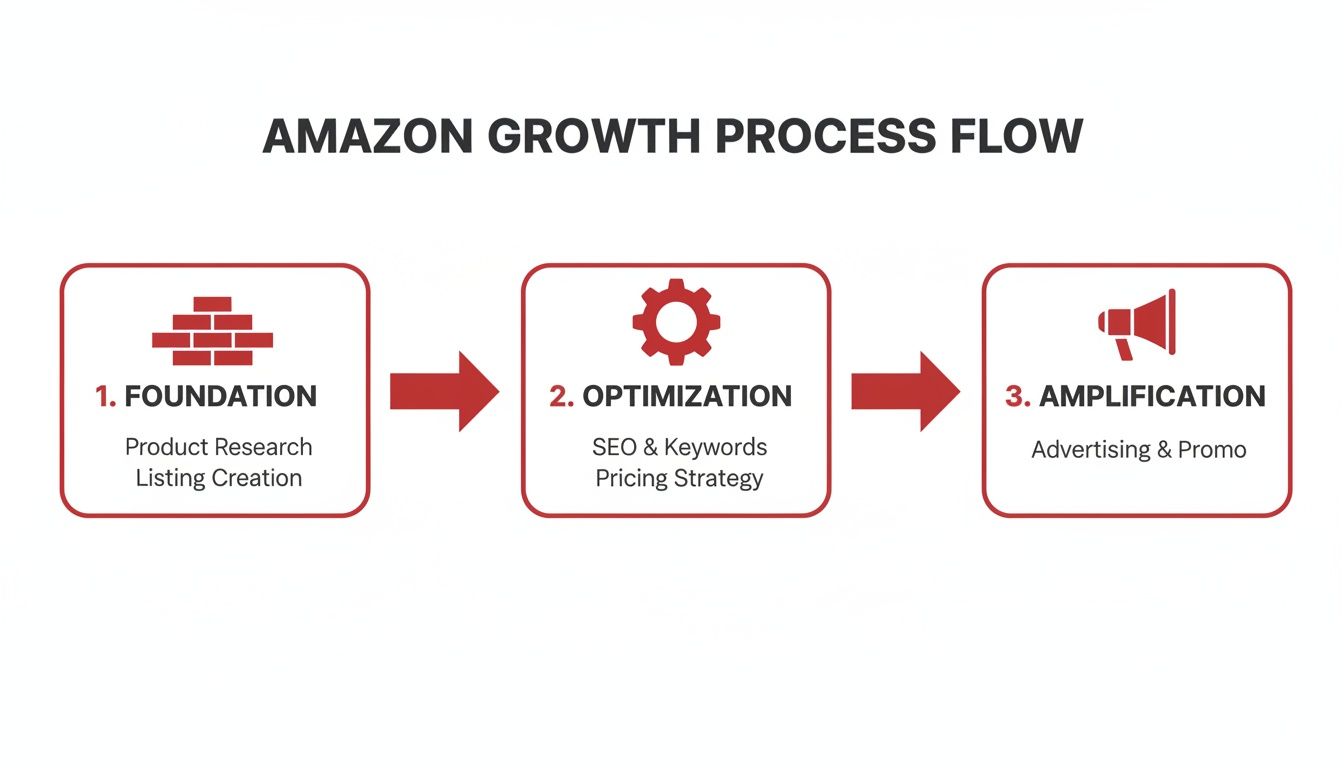 A three-step Amazon growth process flow diagram for increasing sales: Foundation, Optimization, Amplification.