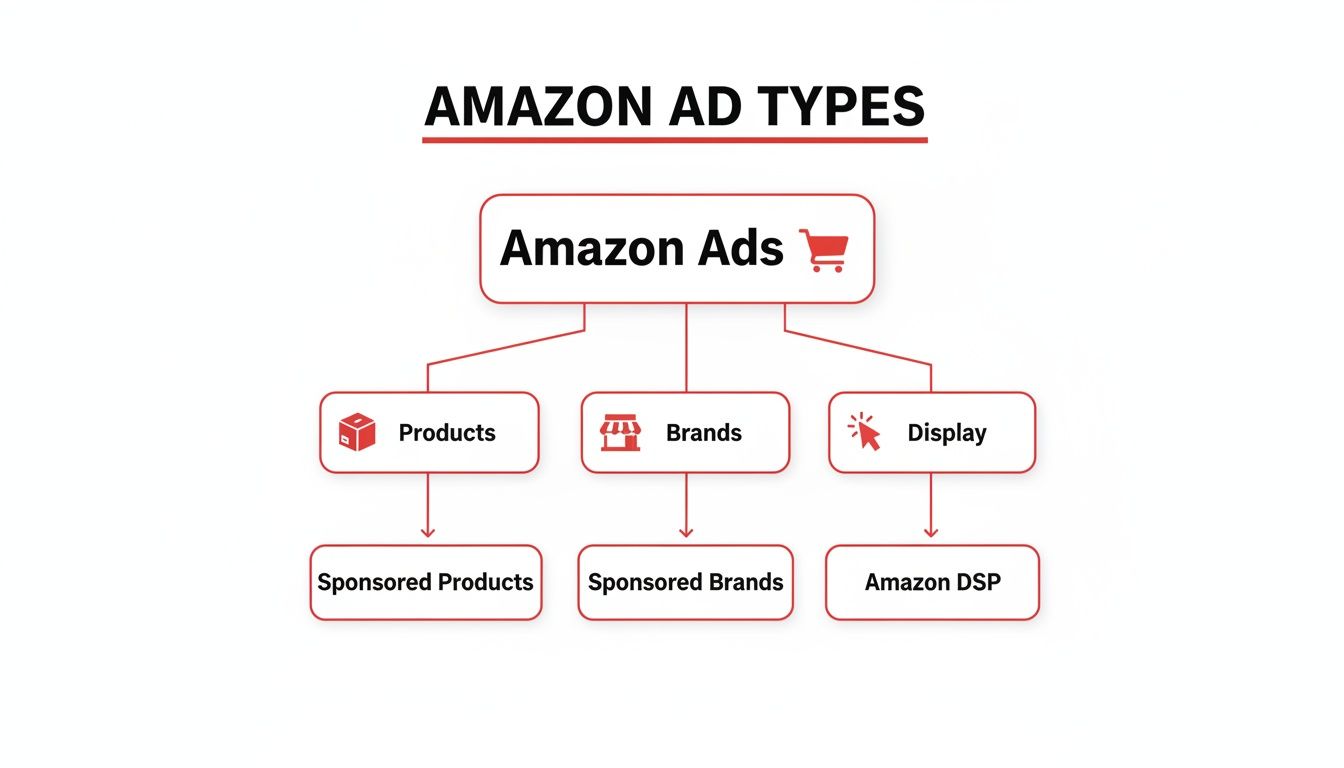 Flowchart illustrating Amazon ad types, including Products, Brands, Display, Sponsored Products, Sponsored Brands, and Amazon DSP.