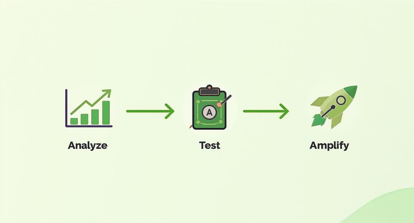 Three-step business growth process showing analyze data, test strategies, and amplify results with icons