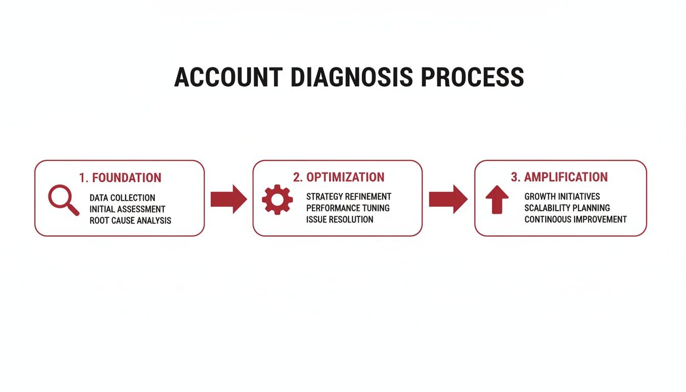 A business process flowchart illustrates the Account Diagnosis Process through foundation, optimization, and amplification stages.