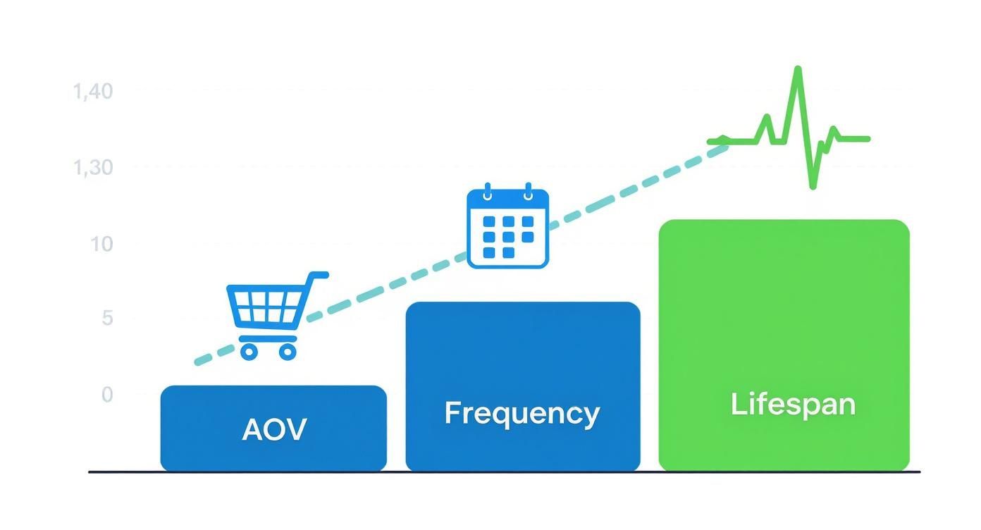 Infographic about how to increase customer lifetime value
