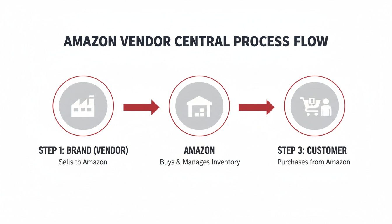 Flowchart illustrating the Amazon Vendor Central process: Brand sells to Amazon, Amazon manages inventory, and customer purchases.