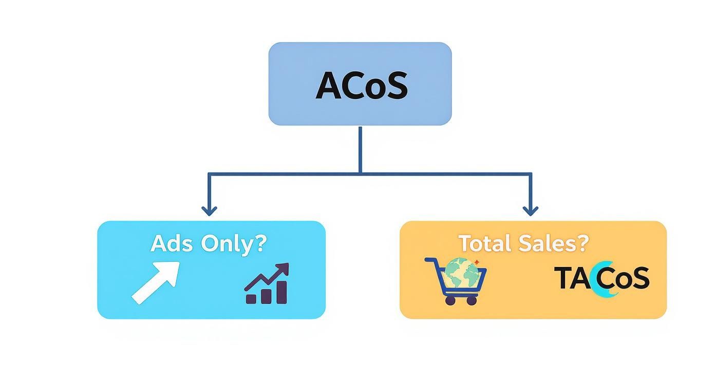 Infographic about acos on amazon