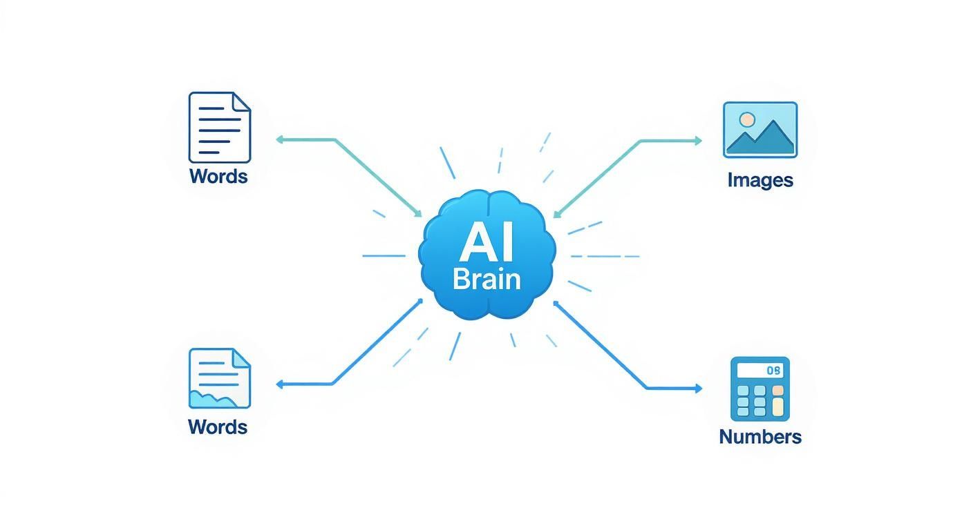Infographic about what are embeddings