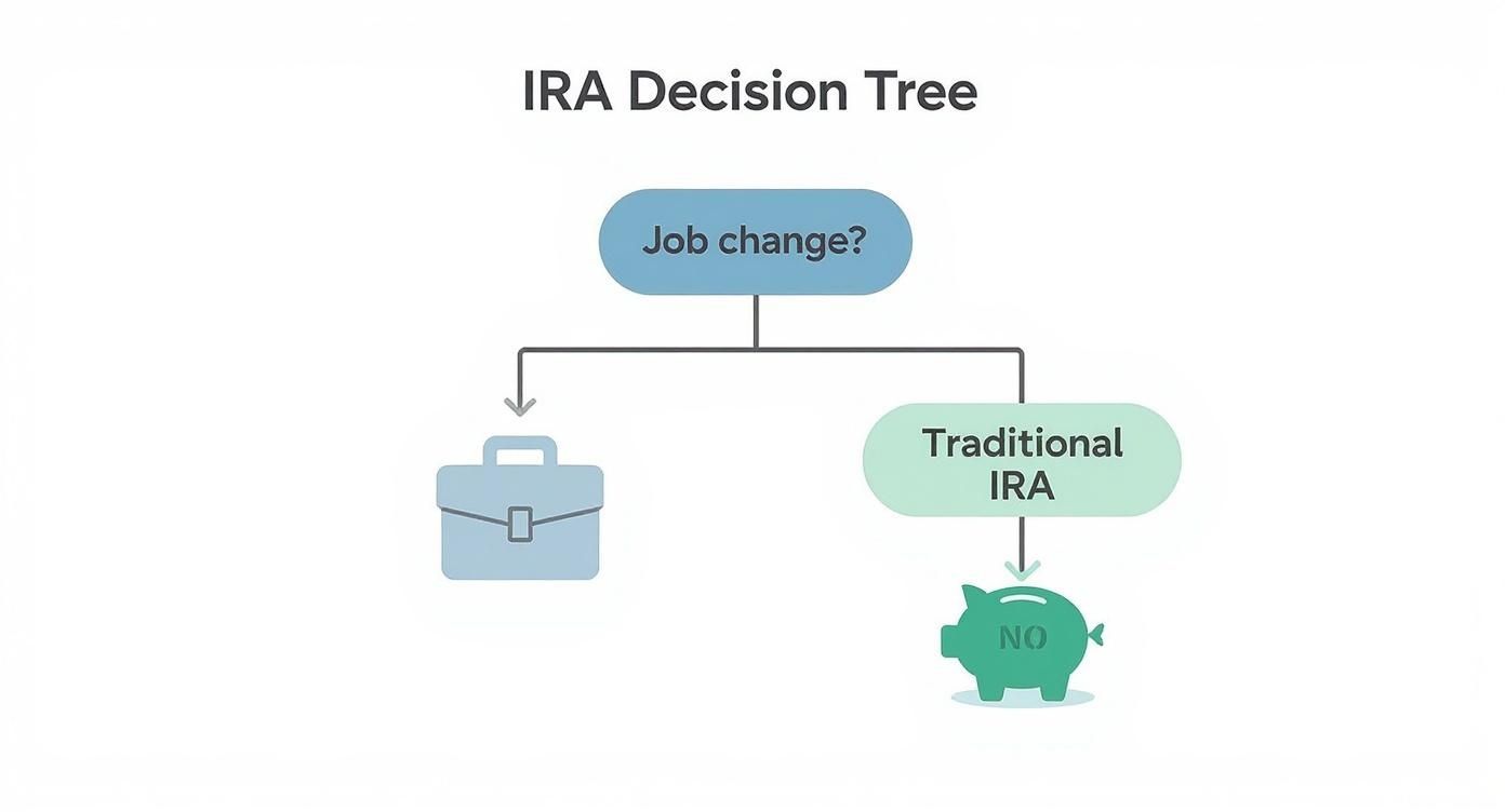 Infographic about difference between traditional and rollover ira