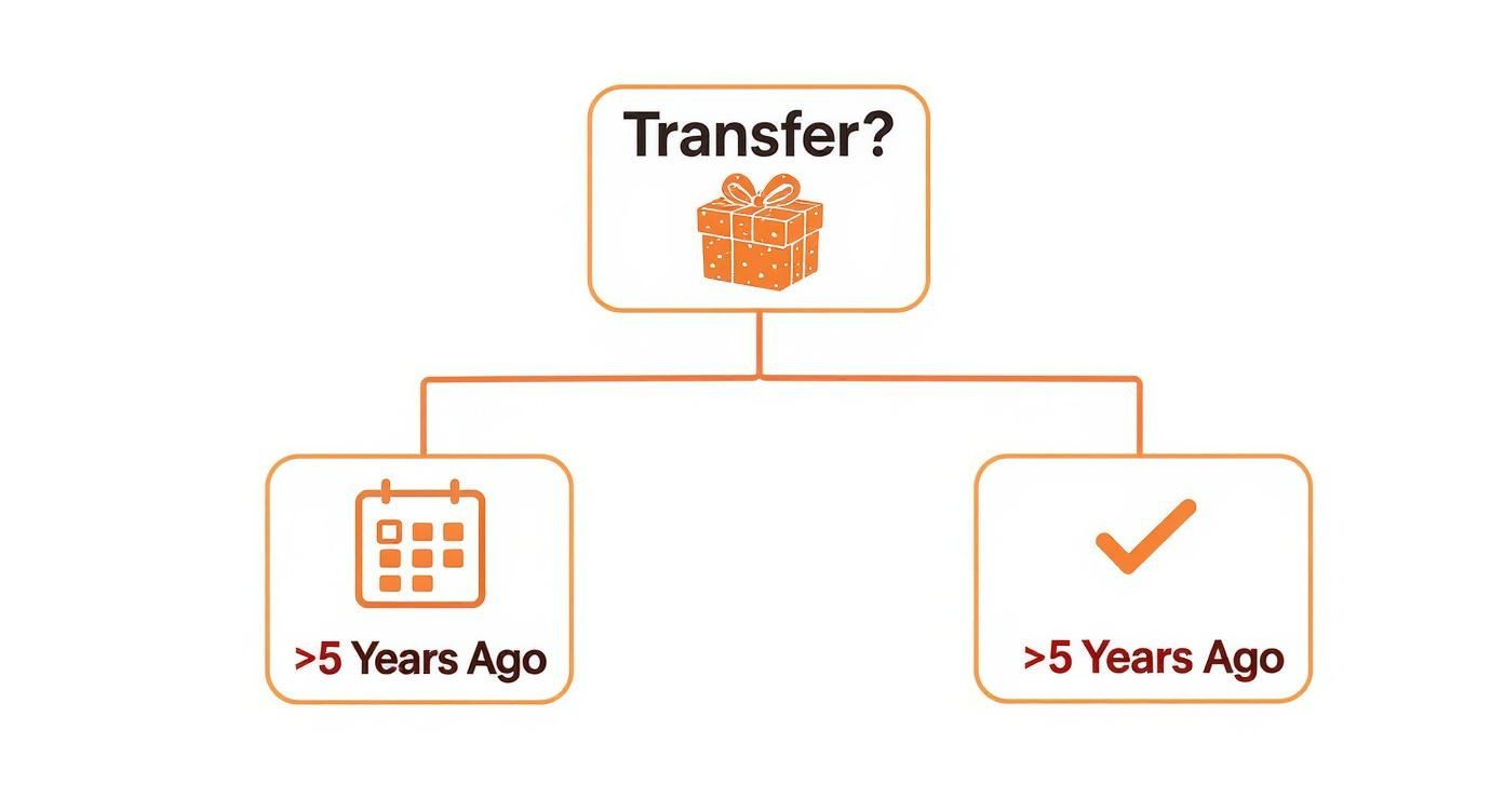 An infographic decision tree showing the consequences of asset transfers within and outside the five-year Medicaid look-back period.