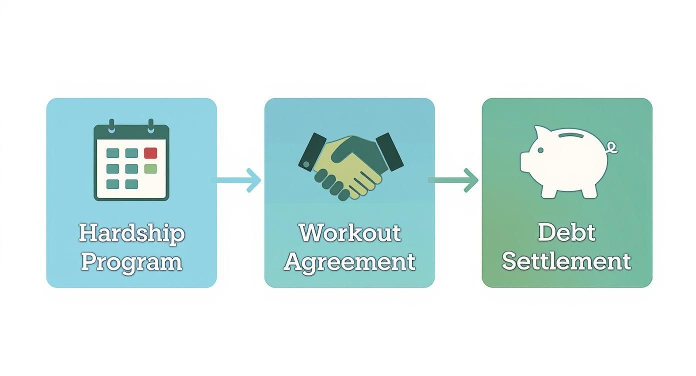 Infographic about how to negotiate credit card debt