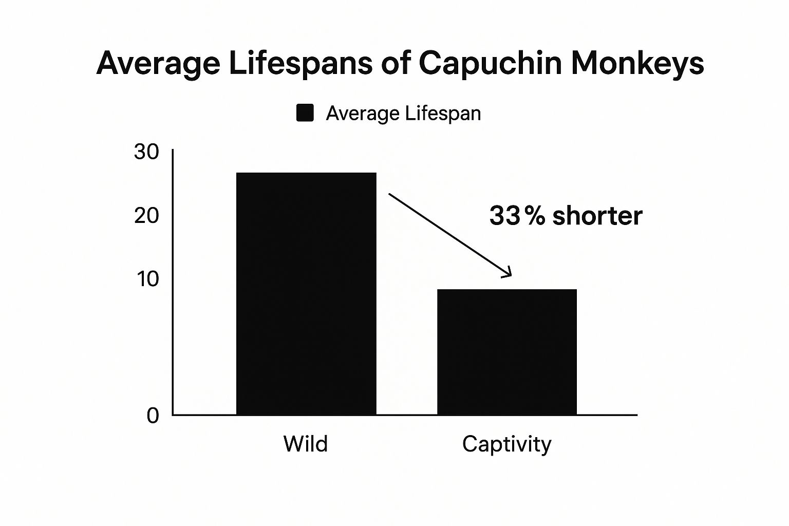 Infographic showing key data about Capuchin Monkeys