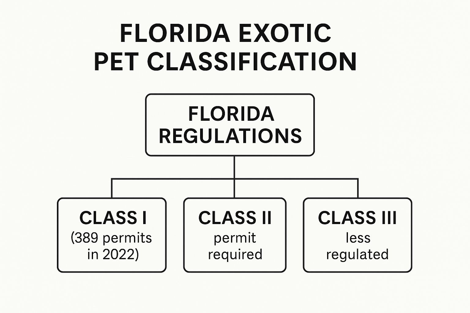 Florida Exotic Pet Regulations